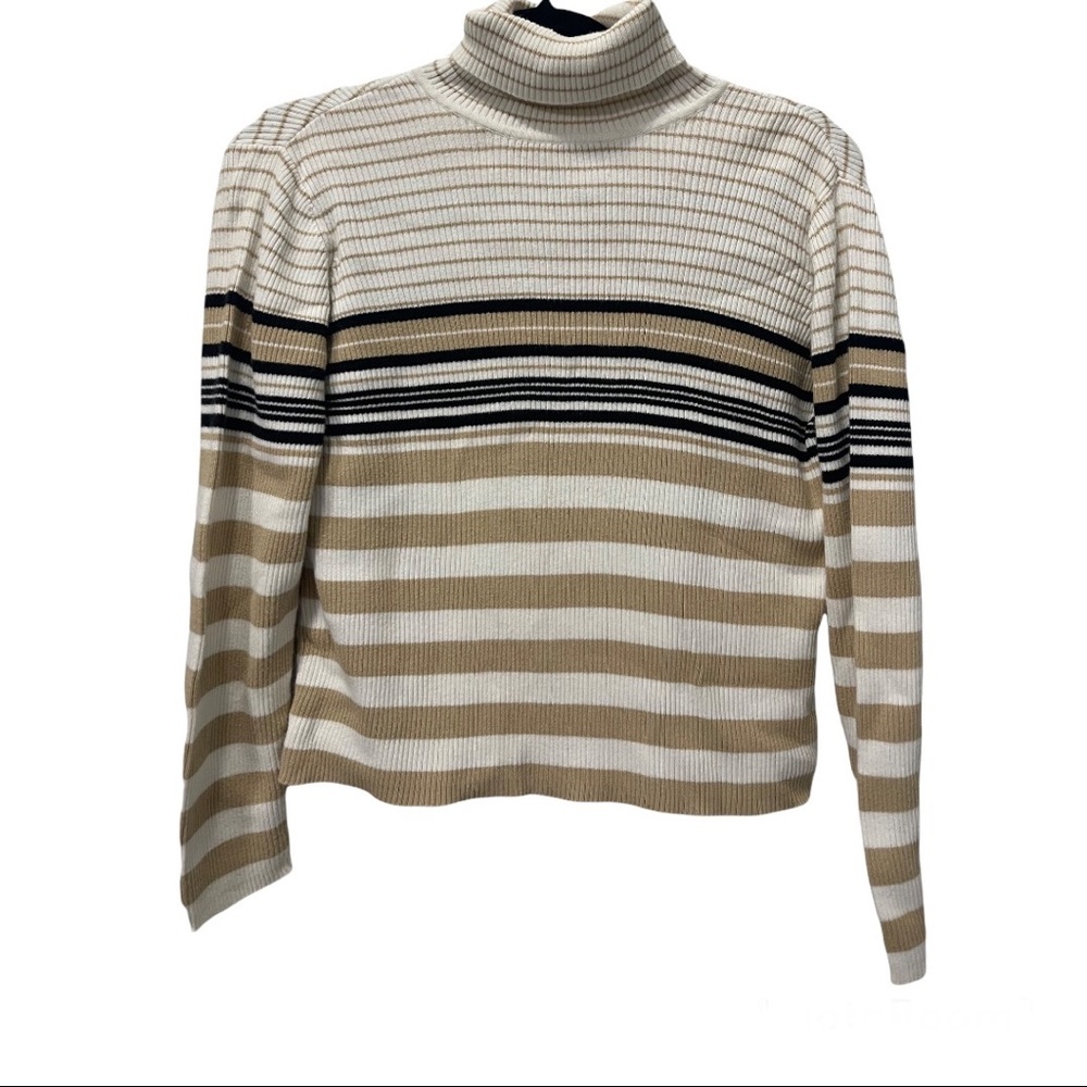 Petite Sophisticate Turtleneck Sweater in Size M/L